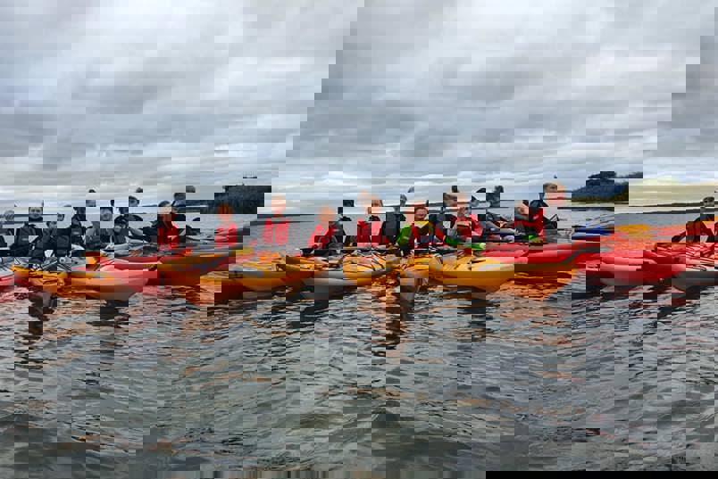 239448455 4504189089603701 8943329020052451586 N