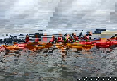 239448455 4504189089603701 8943329020052451586 N